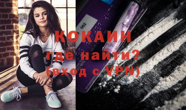 молекула духа Богородицк