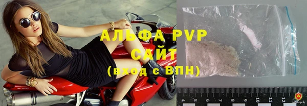 молекула духа Богородицк