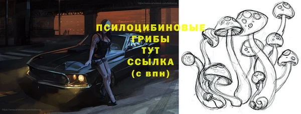 молекула духа Богородицк
