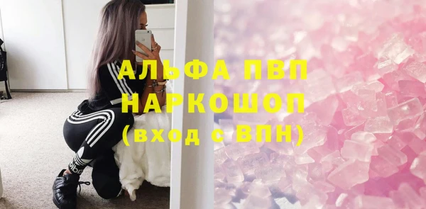 молекула духа Богородицк
