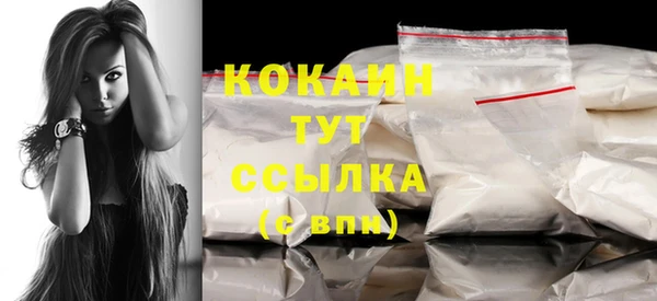 молекула духа Богородицк