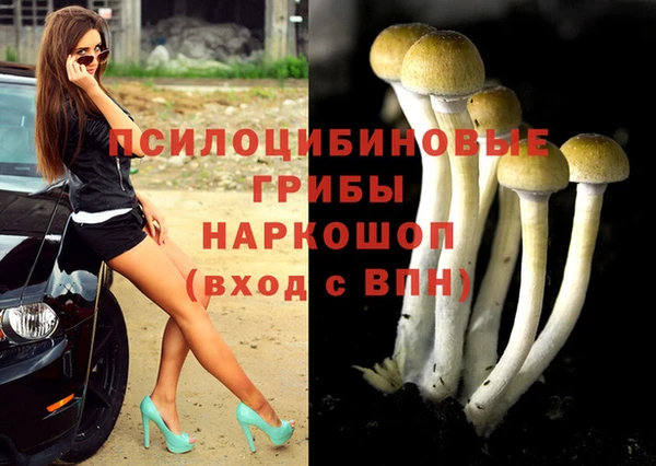 молекула духа Богородицк