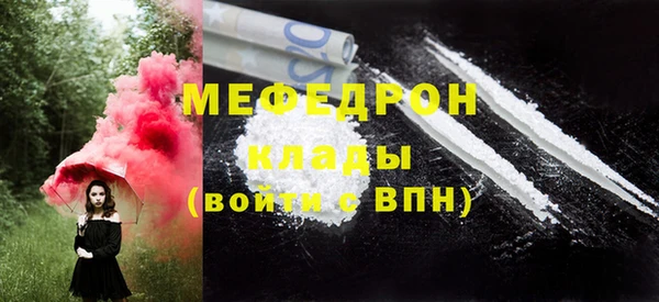 молекула духа Богородицк