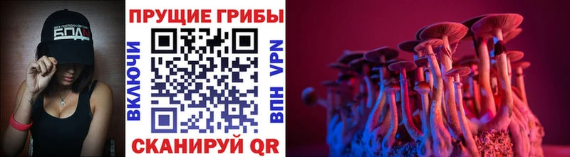 ссылка на мегу онион  Дудинка  Галлюциногенные грибы мицелий 